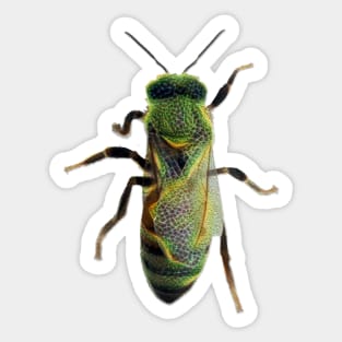 Worker Honey Bee 08 Sticker